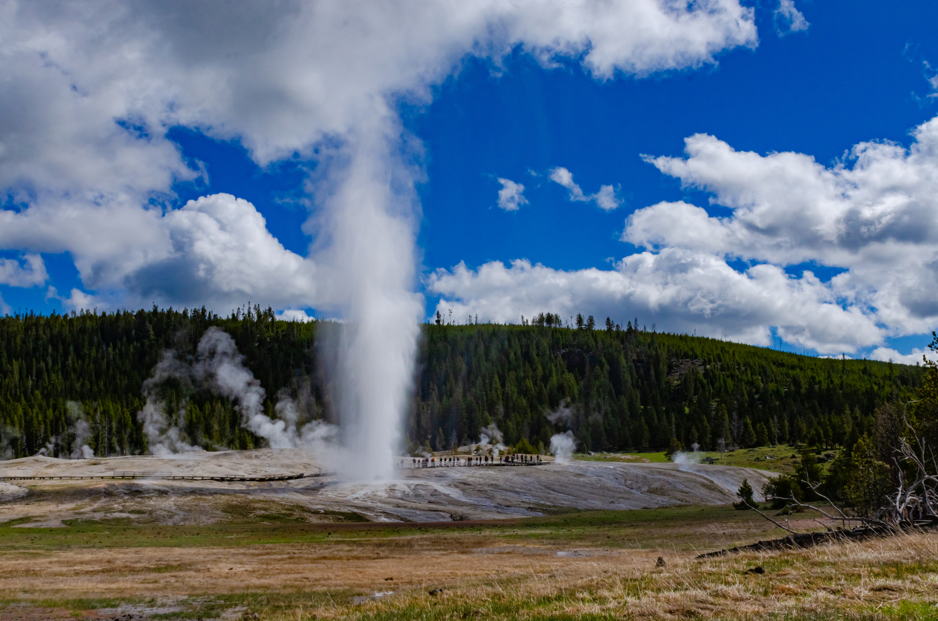 Yellowstone National Park
